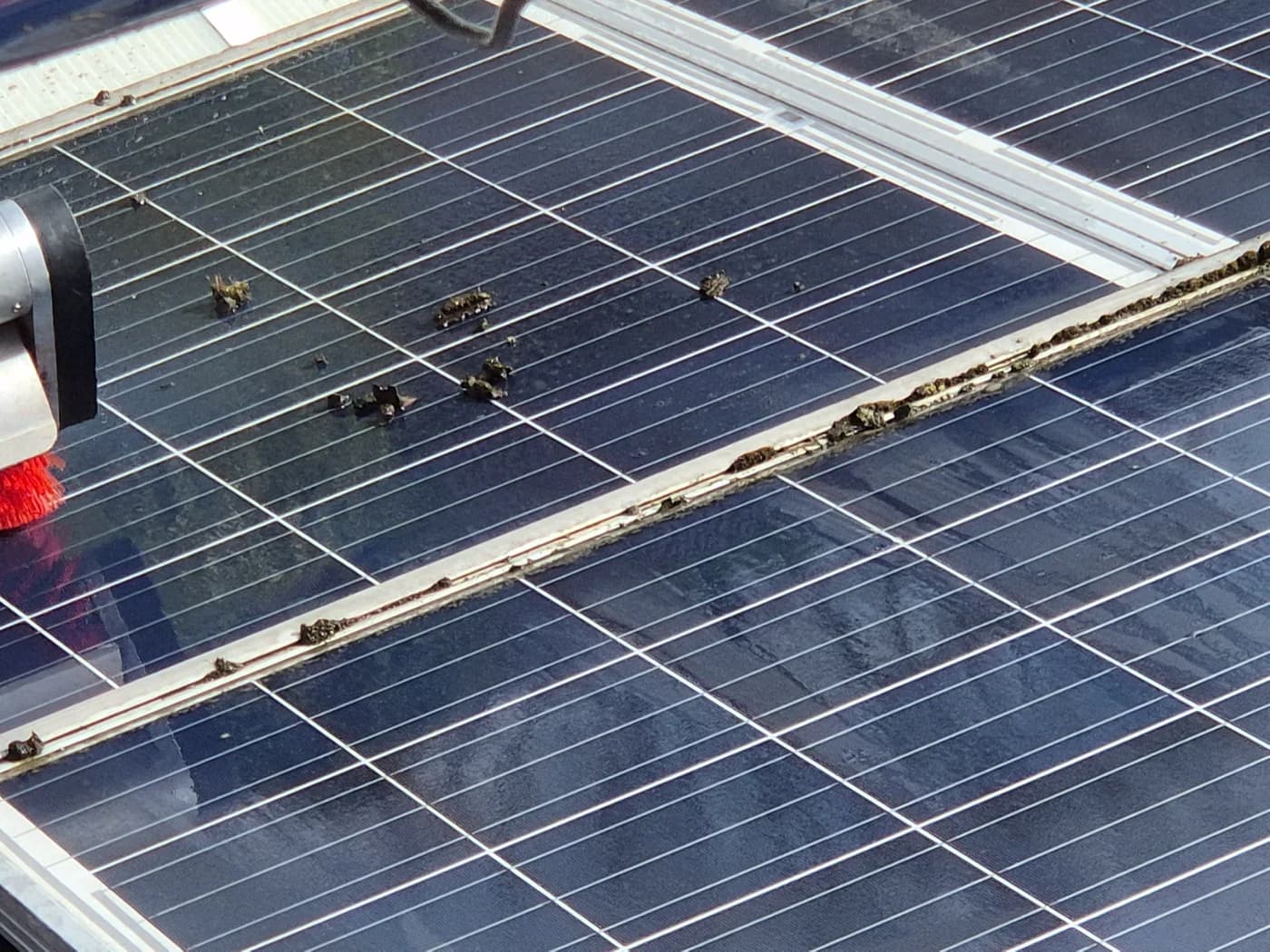 Nahaufnahme eines verschmutzten Solarmoduls mit Vogelkot und Staub